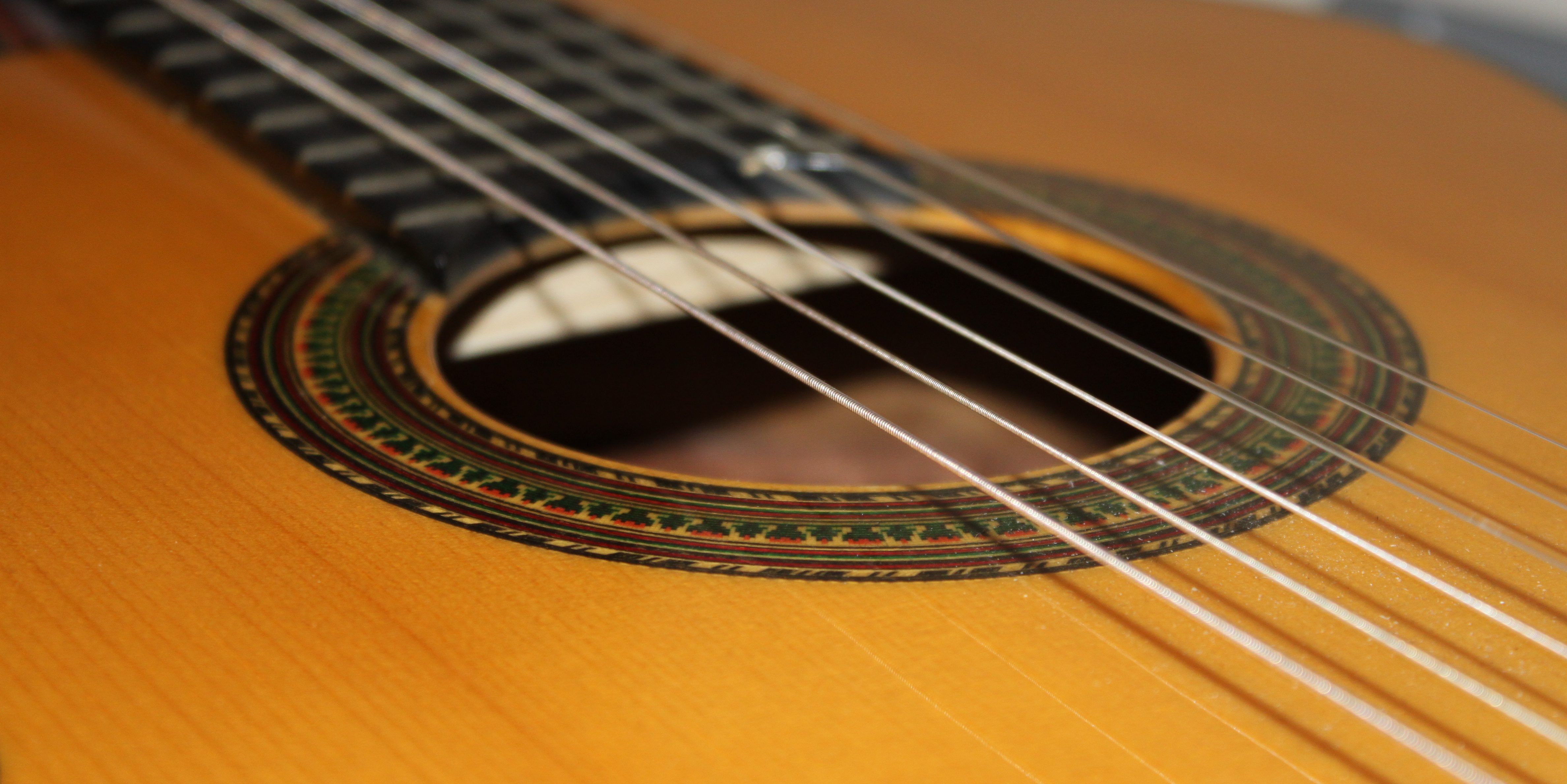 Stephen Zurakowsky Classical Guitarist